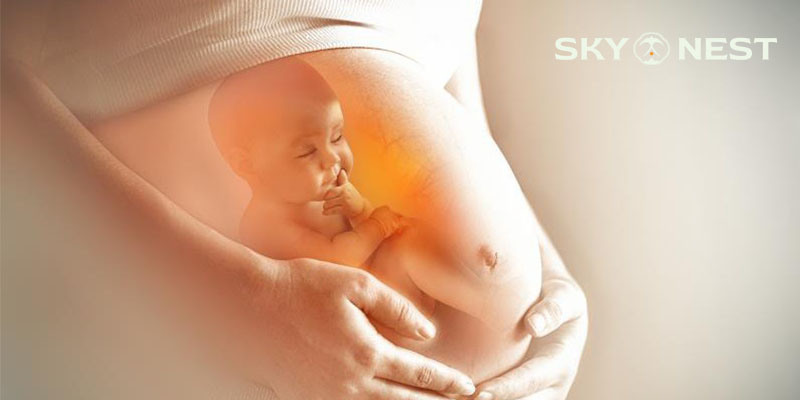 Giải Đáp: Yến Hộp Khánh Hòa Dành Cho Ai? Sử Dụng Như Thế Nào Hiệu Quả?