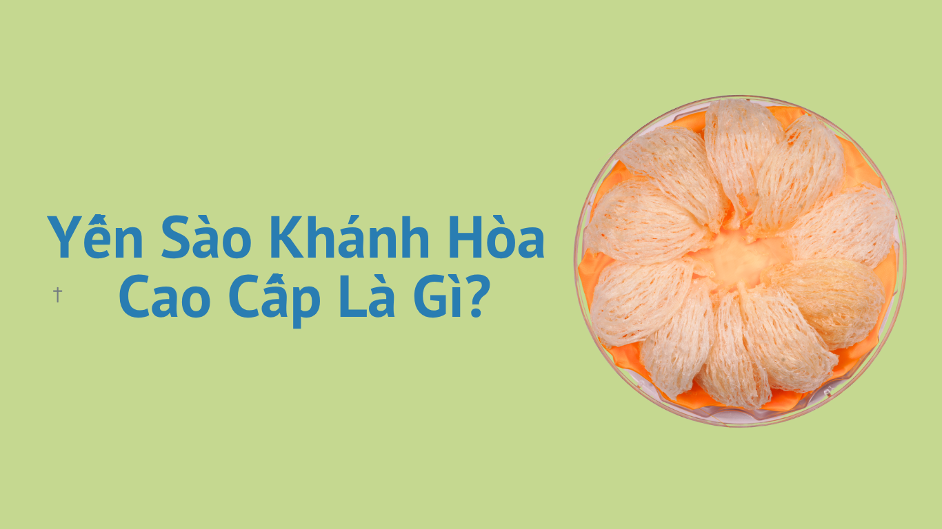 Yen Sao Khanh Hoa Cao Cap La Gi 1 1