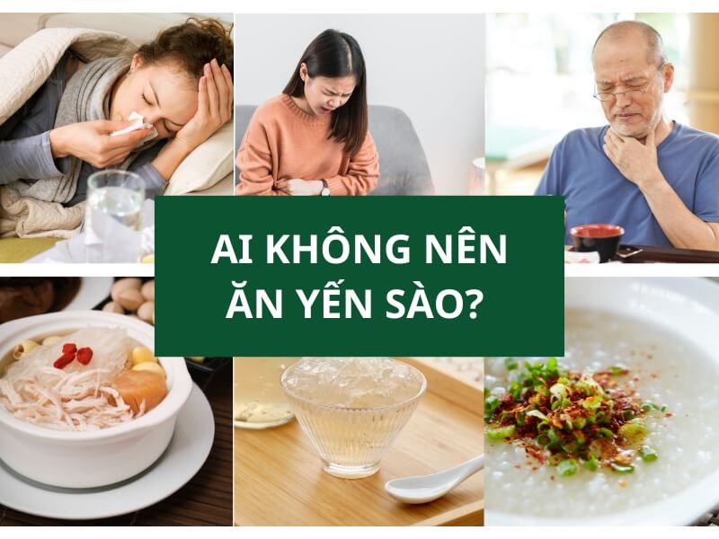 ai khong nen an yen sao