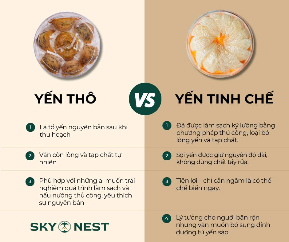 2 loại Yến sào thô và yến tinh chế: Nên lựa chọn yến nào? 1 yen tho va tinh che