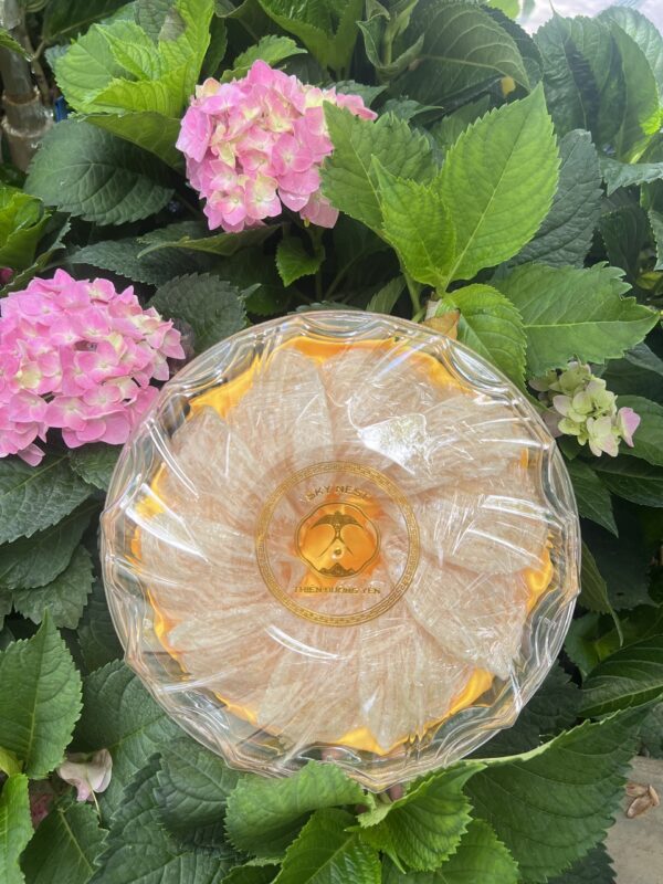 Sky Nest – Đồng hành cùng sức khỏe gia đình Việt trong năm 2026 5 yen sao cho me bau 3