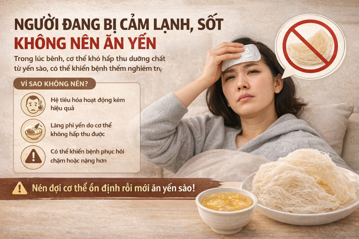 Những ai không nên ăn yến sào? Lưu ý quan trọng để sử dụng đúng cách 4 cam sot