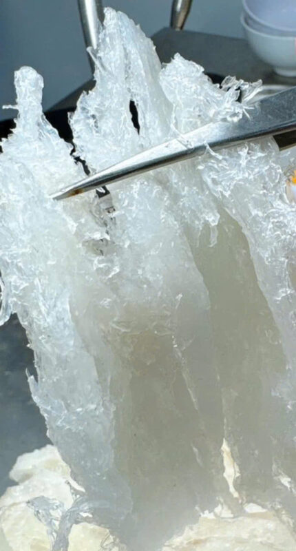 Nên mua yến thô hay yến tinh chế? Lựa chọn nào tốt cho người mới? 6 yen tho