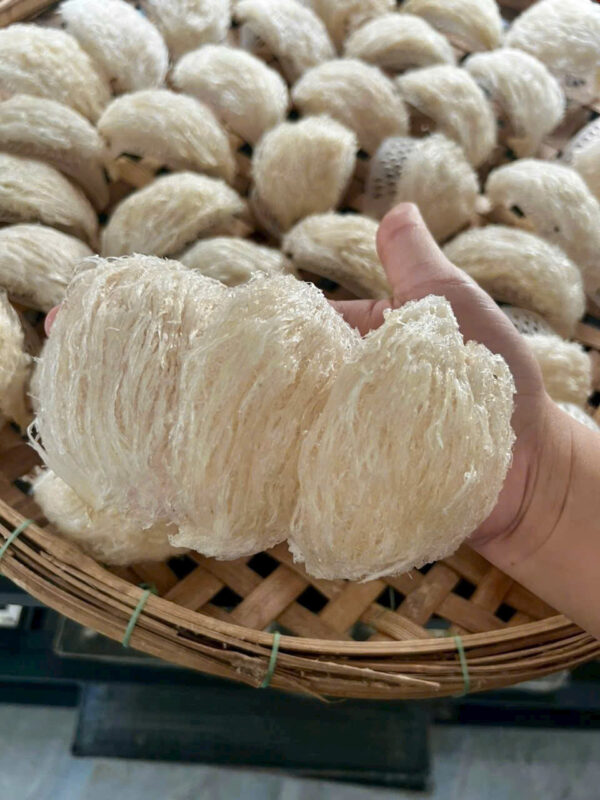 Nên mua yến thô hay yến tinh chế? Lựa chọn nào tốt cho người mới? 3 yen tinh che 2