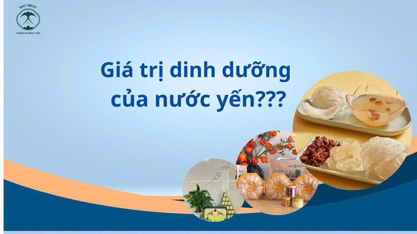 CÓ NÊN UỐNG YẾN MỖI NGÀY KHÔNG? GIẢI ĐÁP TỪ GÓC NHÌN CHUYÊN GIA 2 2