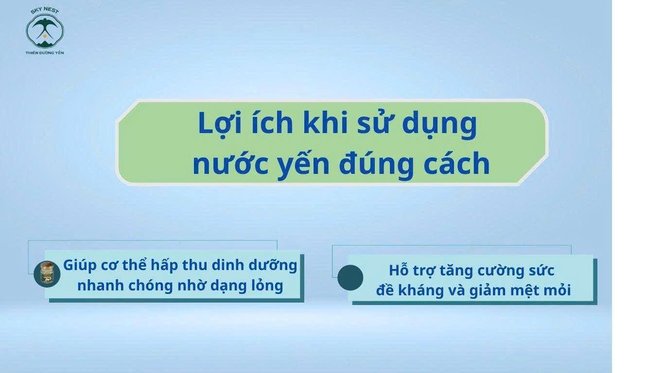 CÓ NÊN UỐNG YẾN MỖI NGÀY KHÔNG? GIẢI ĐÁP TỪ GÓC NHÌN CHUYÊN GIA 3 3