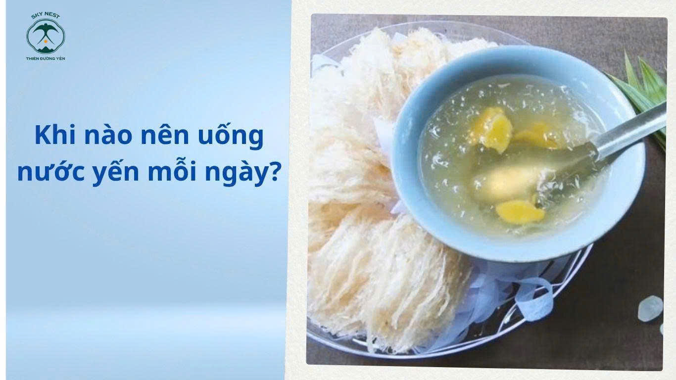CÓ NÊN UỐNG YẾN MỖI NGÀY KHÔNG? GIẢI ĐÁP TỪ GÓC NHÌN CHUYÊN GIA 4 4