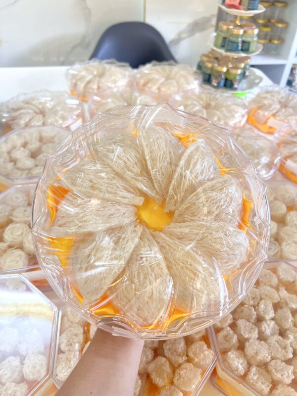 KHÁM PHÁ CÁC DÒNG YẾN TINH CHẾ NHÀ SKY NEST – TINH TẾ TRONG TỪNG SỢI YẾN 2 IMG 4734