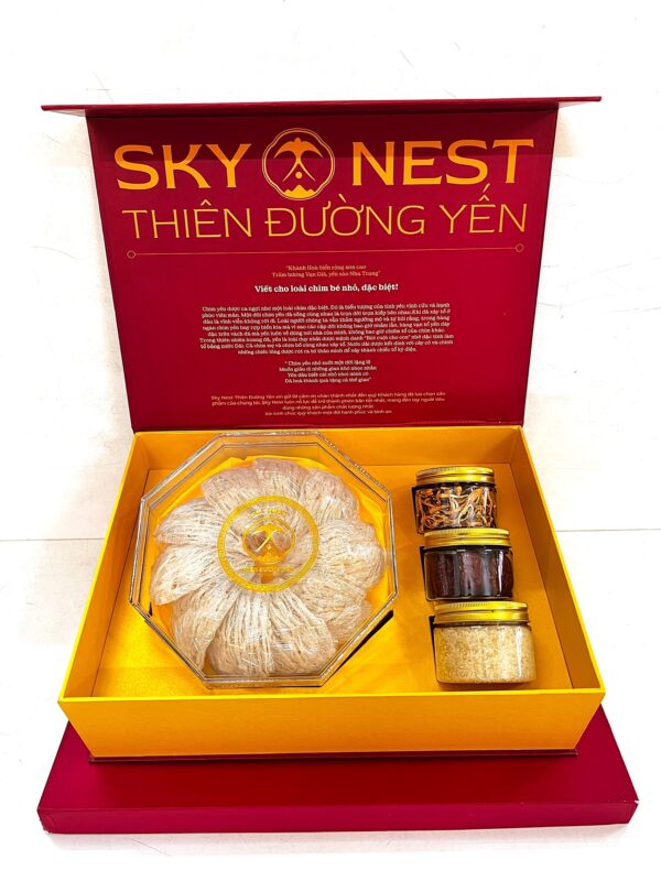 NGÀY QUỐC TẾ ĐẠI DƯƠNG – NƠI NHỮNG CÁNH CHIM YẾN BẮT ĐẦU HÀNH TRÌNH 4 IMG 8211