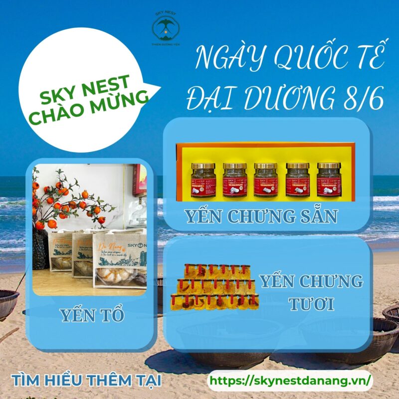 NGÀY QUỐC TẾ ĐẠI DƯƠNG – NƠI NHỮNG CÁNH CHIM YẾN BẮT ĐẦU HÀNH TRÌNH 5 Red and Gold Modern Vietnam Celebration Facebook Profile Picture