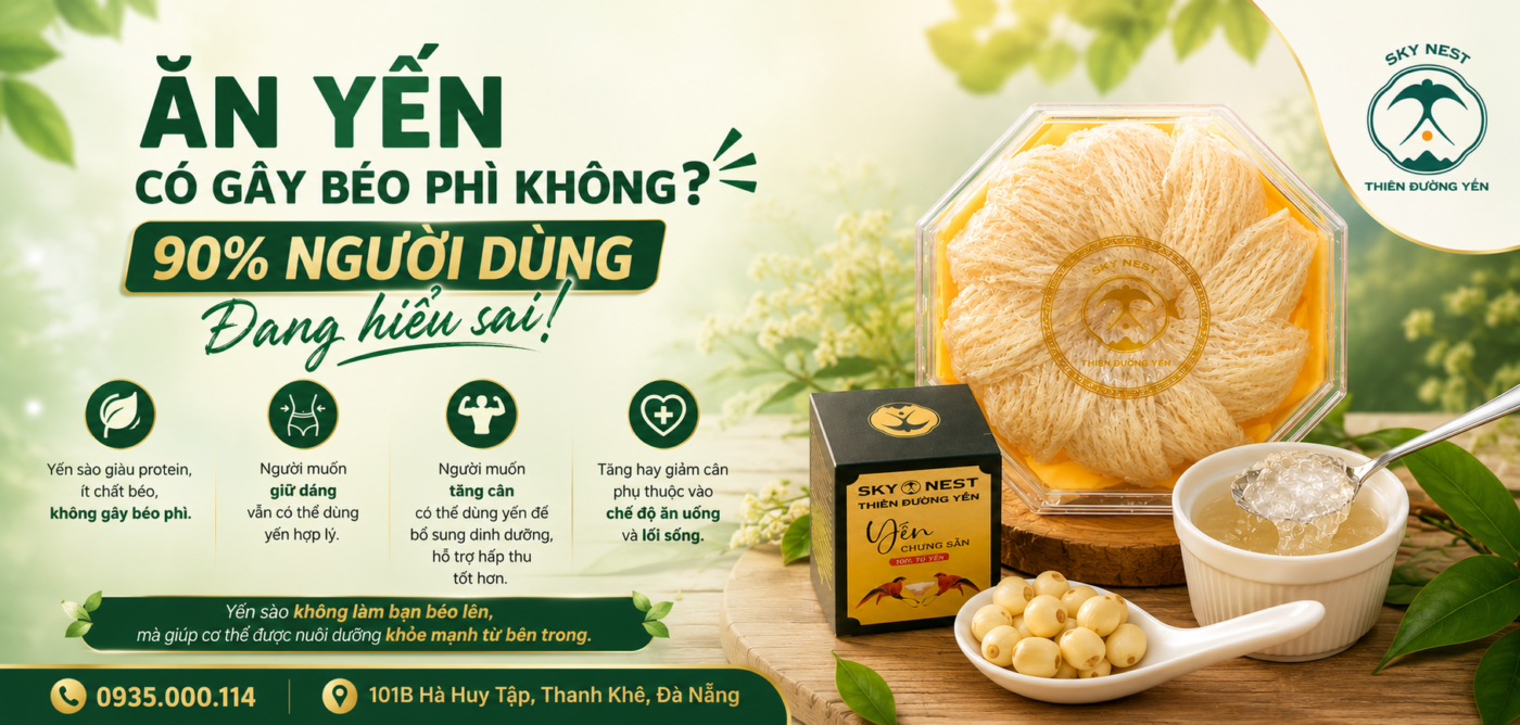 ĂN YẾN CÓ GÂY BÉO PHÌ KHÔNG? 90% NGƯỜI DÙNG ĐANG HIỂU SAI! 1 3b7b4bcc 53c4 4ea3 b787 32c69270ff9e