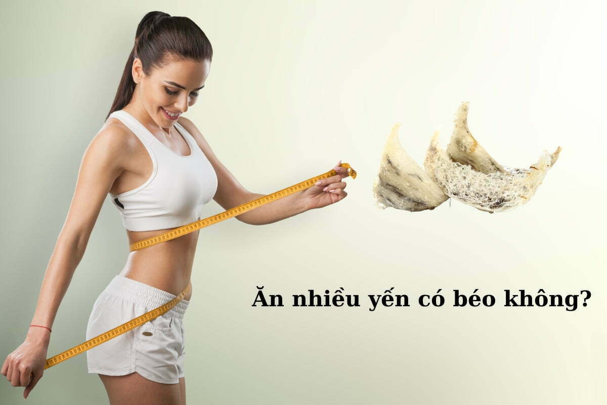ĂN YẾN CÓ GÂY BÉO PHÌ KHÔNG? 90% NGƯỜI DÙNG ĐANG HIỂU SAI! 2 An nhieu yen co beo khong SKY NEST