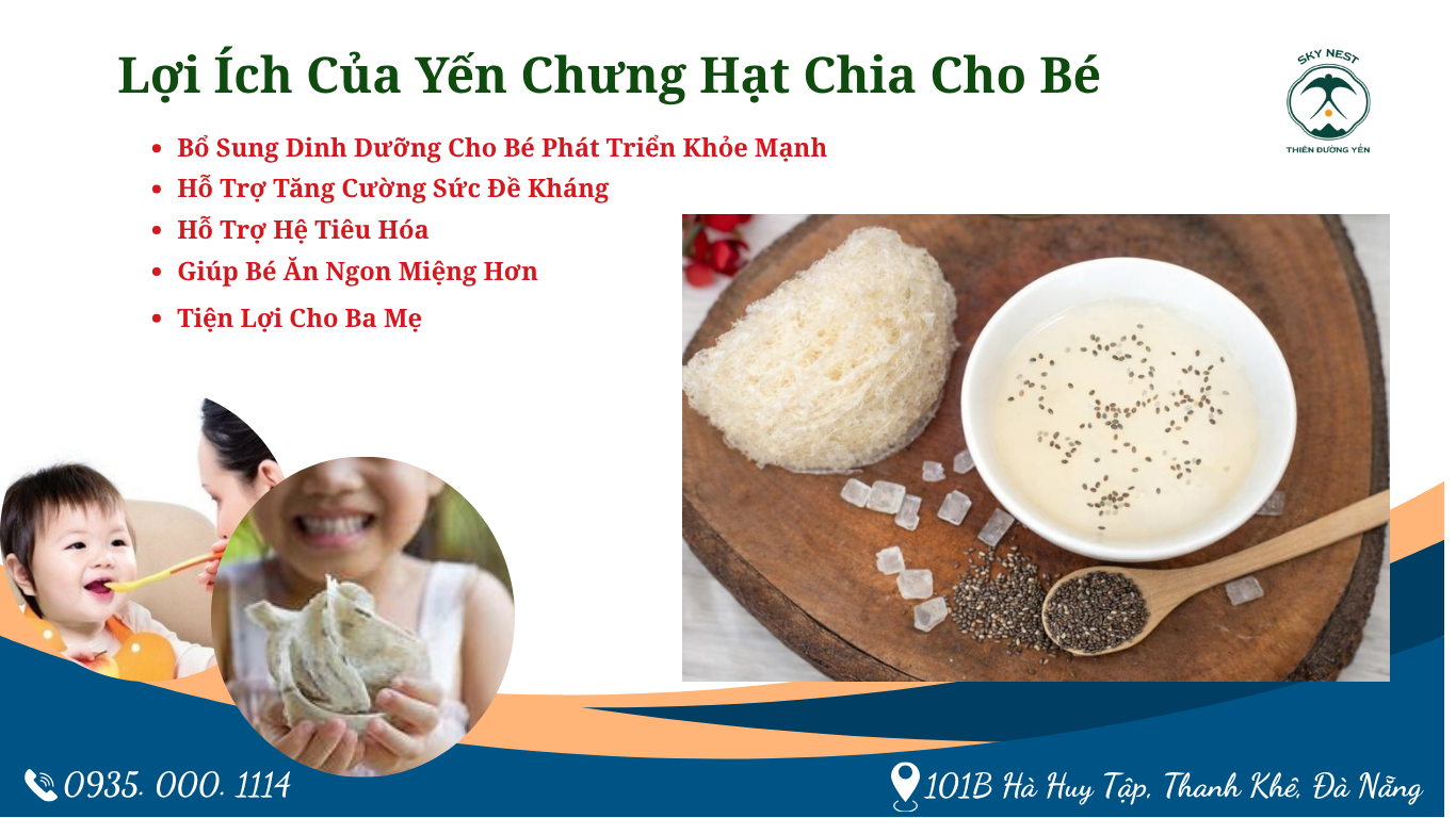 YẾN CHƯNG HẠT CHIA CHO BÉ: LỢI ÍCH DINH DƯỠNG VÀ CÁCH SỬ DỤNG HIỆU QUẢ 3 YEN SAO SKY NEST 1
