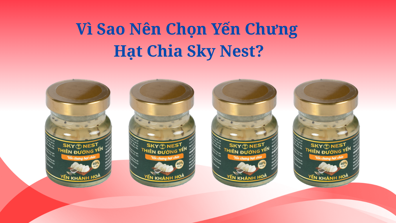 YẾN CHƯNG HẠT CHIA CHO BÉ: LỢI ÍCH DINH DƯỠNG VÀ CÁCH SỬ DỤNG HIỆU QUẢ 4 YEN SAO SKY NEST 2