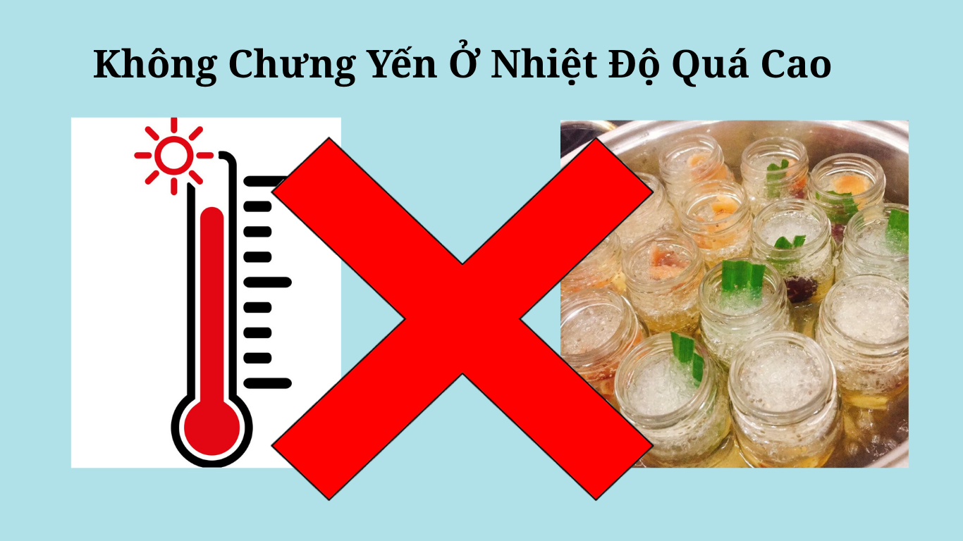 TỔ YẾN KỴ VỚI GÌ? NHỮNG LƯU Ý QUAN TRỌNG ĐỂ SỬ DỤNG YẾN SÀO HIỆU QUẢ 3 YEN SAO SKY NEST 3