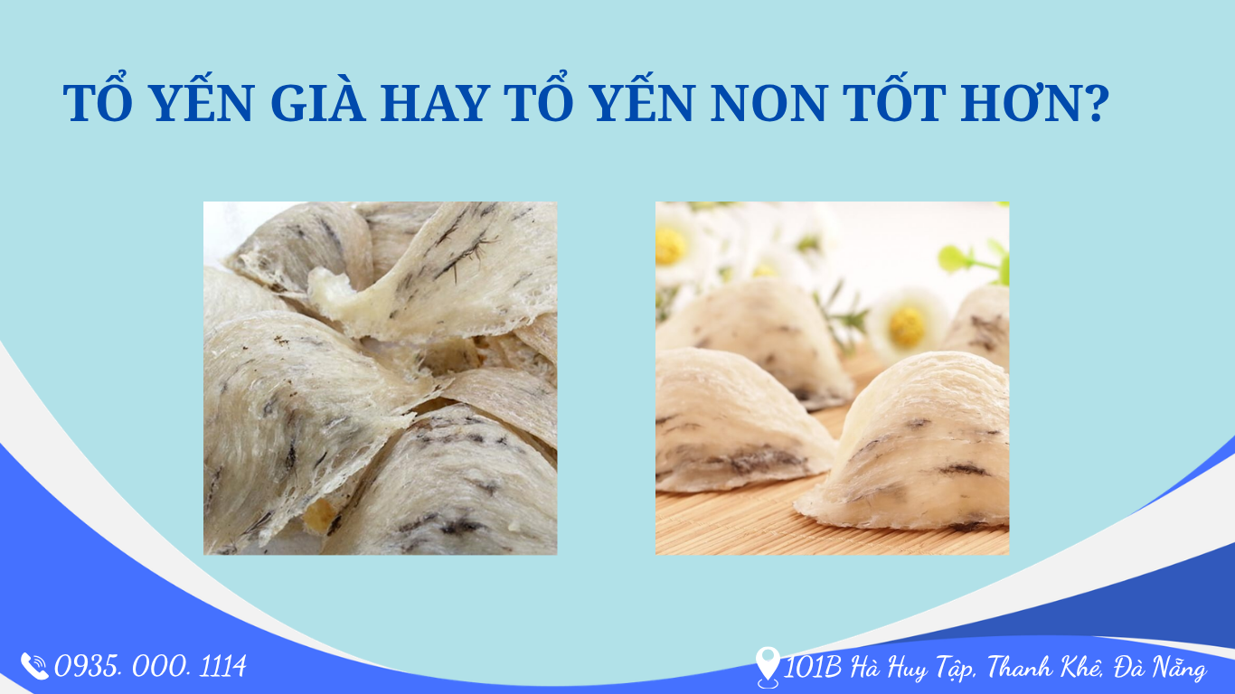 CÁCH PHÂN BIỆT TỔ YẾN GIÀ VÀ TỔ YẾN NON – BÍ QUYẾT CHỌN YẾN CHẤT LƯỢNG 5 YEN SAO SKY NEST 5
