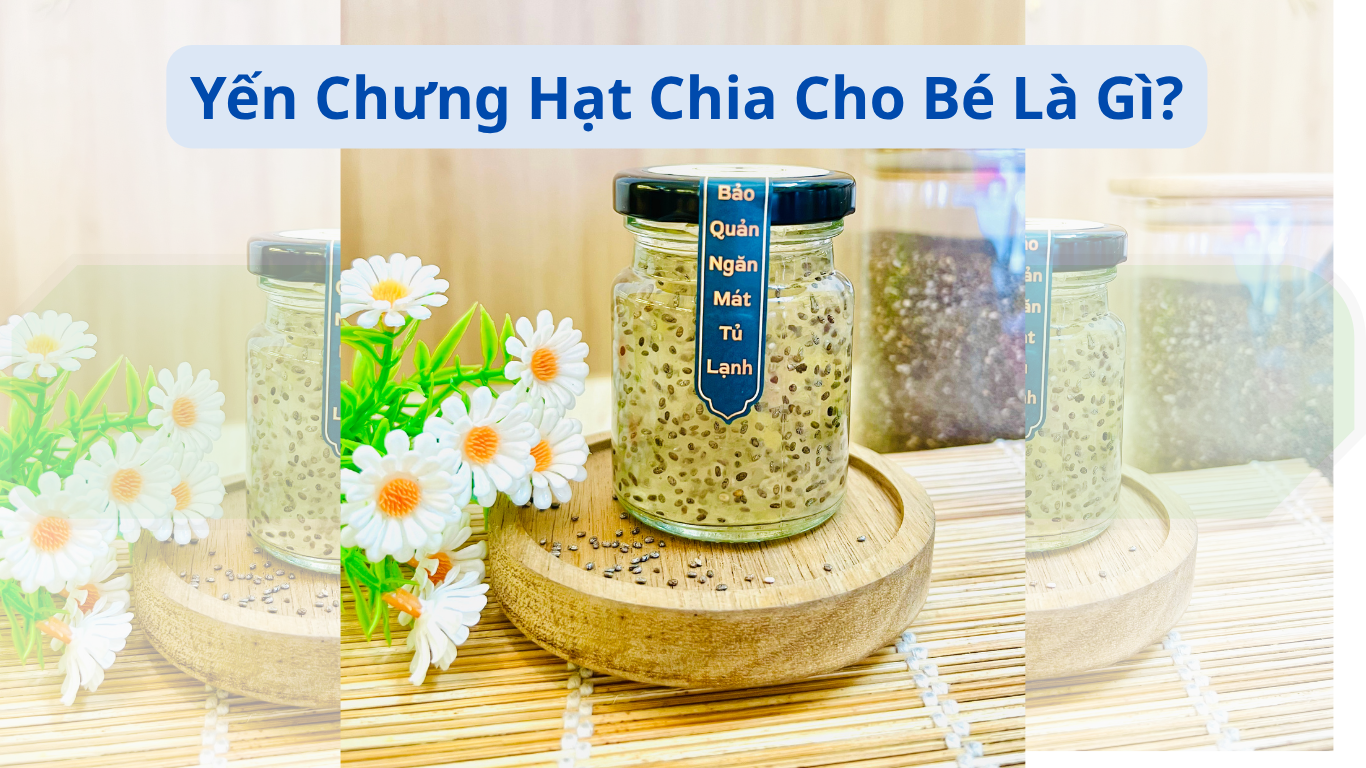 YẾN CHƯNG HẠT CHIA CHO BÉ: LỢI ÍCH DINH DƯỠNG VÀ CÁCH SỬ DỤNG HIỆU QUẢ 2 YEN SAO SKY NEST