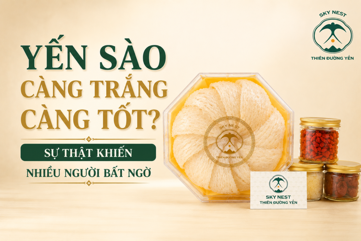 YẾN SÀO CÀNG TRẮNG CÀNG TỐT? SỰ THẬT KHIẾN NHIỀU NGƯỜI BẤT NGỜ 1 abc706d6 d475 4b53 9520 b44b5616c747