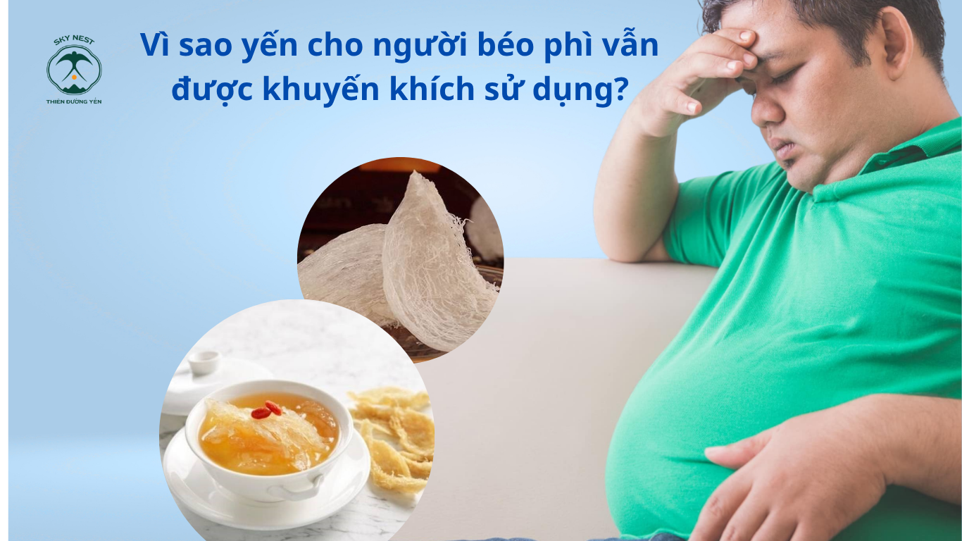 ĂN YẾN CÓ GÂY BÉO PHÌ KHÔNG? 90% NGƯỜI DÙNG ĐANG HIỂU SAI! 3 oc 1