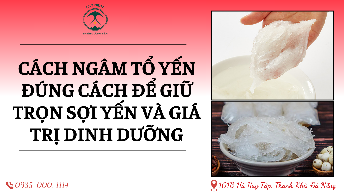 CÁCH NGÂM TỔ YẾN ĐÚNG CÁCH ĐỂ GIỮ TRỌN SỢI YẾN VÀ GIÁ TRỊ DINH DƯỠNG 1 oc