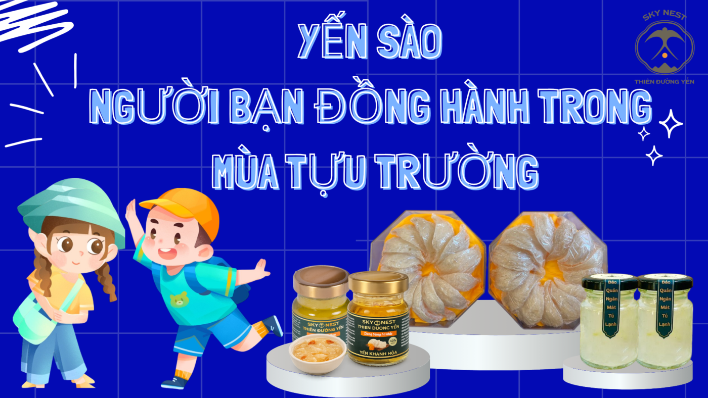 YẾN SÀO – NGƯỜI BẠN ĐỒNG HÀNH TRONG MÙA TỰU TRƯỜNG 1 Blue Scribble Back To School Presentation