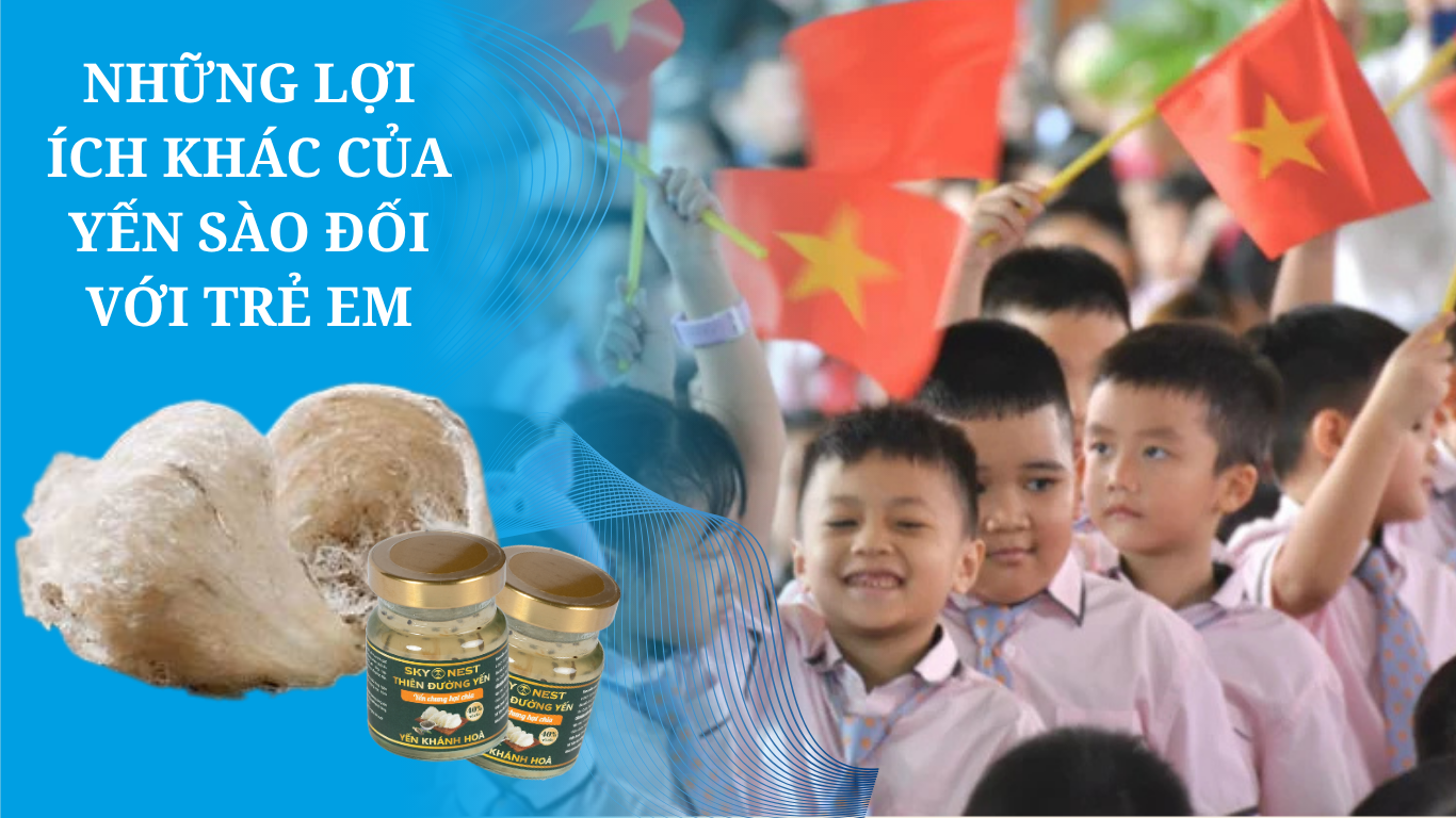 YẾN SÀO – NGƯỜI BẠN ĐỒNG HÀNH TRONG MÙA TỰU TRƯỜNG 3 YEN SAO SKY NEST 1