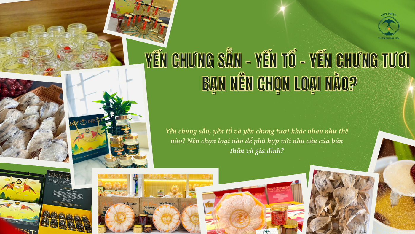 YẾN CHƯNG SẴN – YẾN TỔ – YẾN CHƯNG TƯƠI, BẠN NÊN CHỌN LOẠI NÀO? 1 Trang Xanh La Cay Hien Dai Sale Deal Uu Dai San Pham Chuc Mung Le Vu Lan Bao Hieu Facebook Banner 2