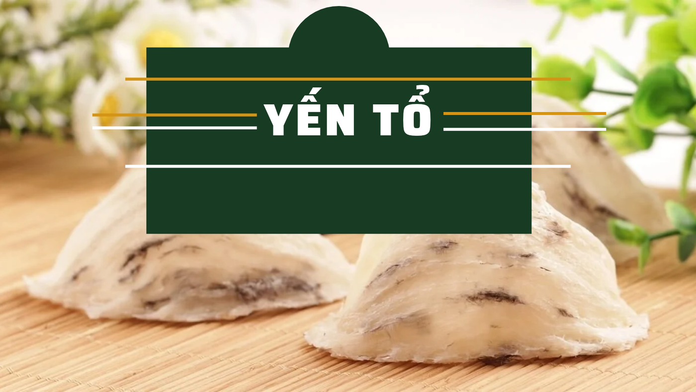YẾN CHƯNG SẴN – YẾN TỔ – YẾN CHƯNG TƯƠI, BẠN NÊN CHỌN LOẠI NÀO? 3 Trang Xanh La Cay Hien Dai Sale Deal Uu Dai San Pham Chuc Mung Le Vu Lan Bao Hieu Facebook Banner 6