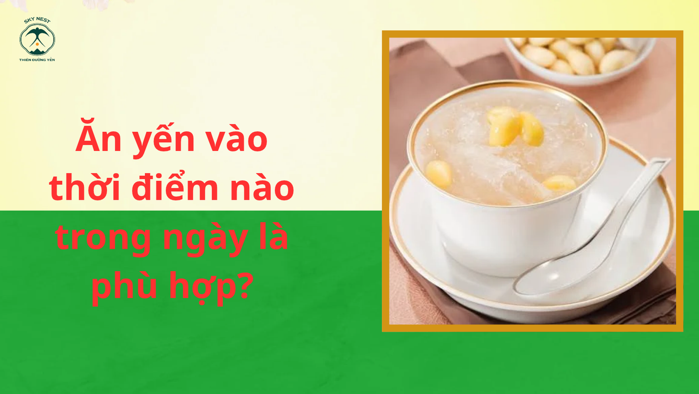 ĂN YẾN SÀO BAO LÂU THÌ CÓ HIỆU QUẢ? NHỮNG ĐIỀU BẠN NÊN BIẾT 4 Trang Xanh La Cay Hien Dai Sale Deal Uu Dai San Pham Chuc Mung Le Vu Lan Bao Hieu Facebook Banner 8