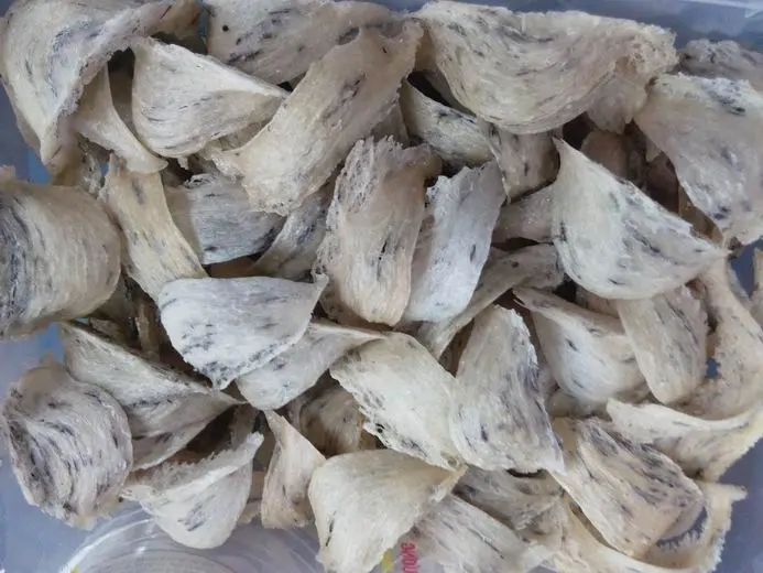 Hạn Sử Dụng Của Yến Sào Sky Nest – Bảo Quản Đúng Cách Để Giữ Trọn Dinh Dưỡng 2 image